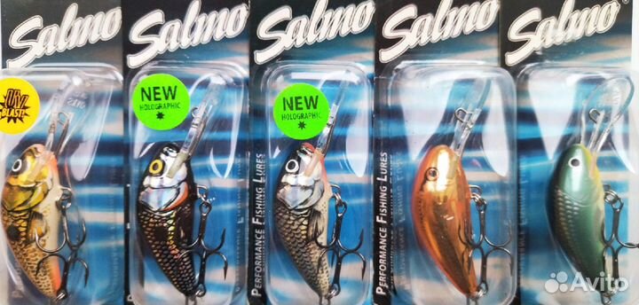 Salmo Hornet 5F - UGS/BBS/HGS/OC/GBH