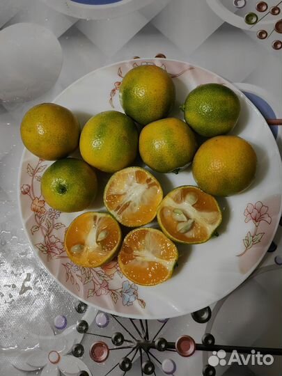 Каламандин