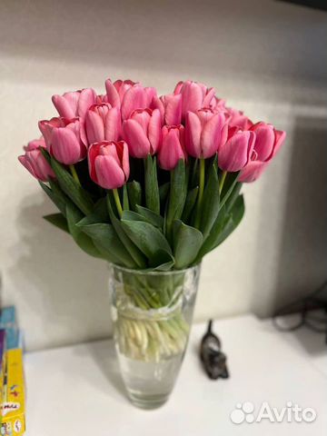 Тюльпаны к 14 февраля объявление продам