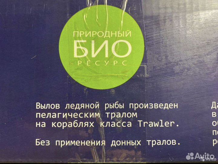 Ледяная рыба