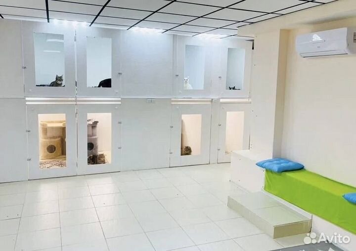 Зоогостиница для кошек