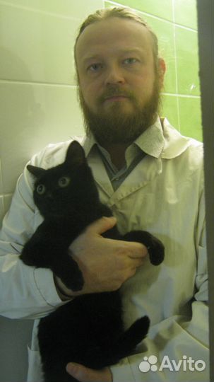 Ветеринар на дом