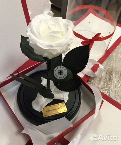 Розы в колбе разные