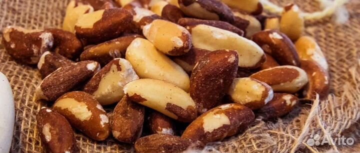 Бразильский орех медиум