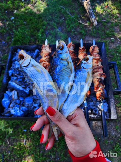 Вяленая вобла из Астрахани