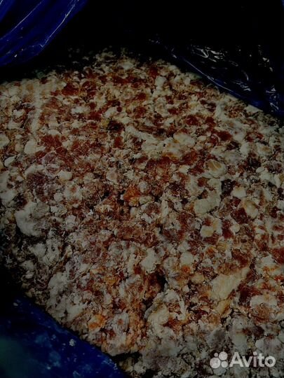 Фарш для собак корм