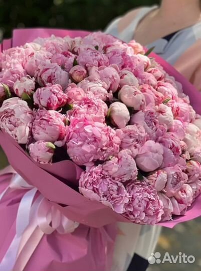 Пионы букет цветы