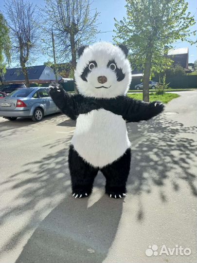 Поздравление от Белого медведя, панды, зайки