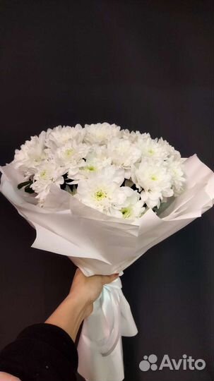 Хризантемы в Комсомольске