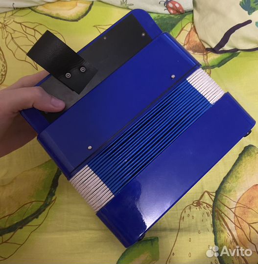 Гармонь детская