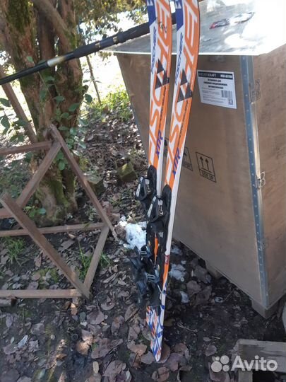 Горные лыжи