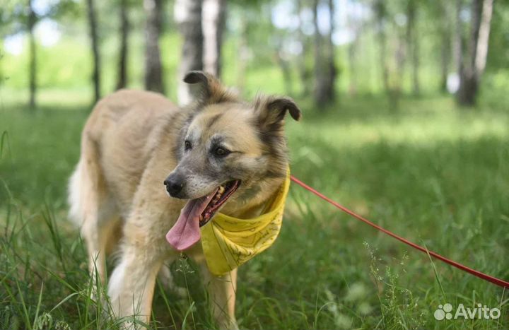 Букля ждет своих родителей