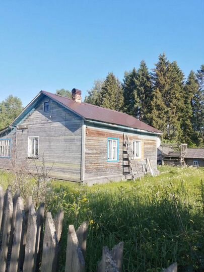 Дом 48 м² на участке 25 сот.