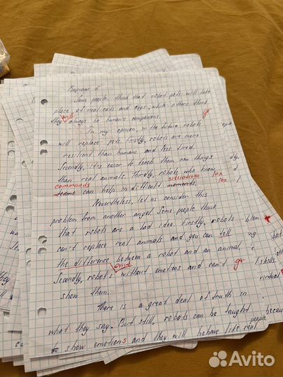 Эссе для егэ по английскому