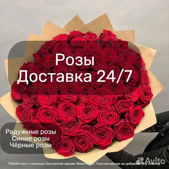 Розы, 35 101 роза, цветы с доставкой