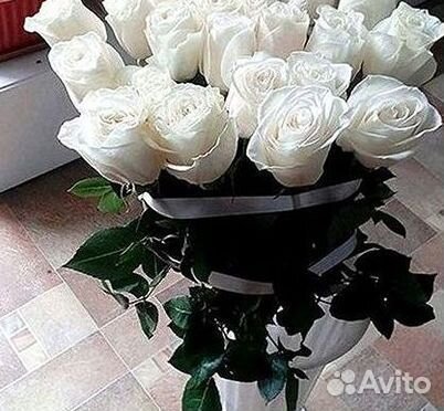 Розы Цветы Букеты 25 51 151 201 101 301 501 опт