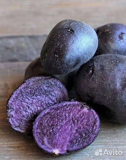 Картофель семенной сортовой фиолетовый купить в Нижнем Тагиле