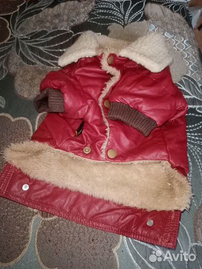 Одежда для маленьких пород собак