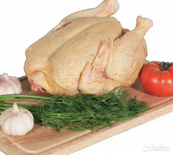 Мясо домашнего цыпленка бройлера