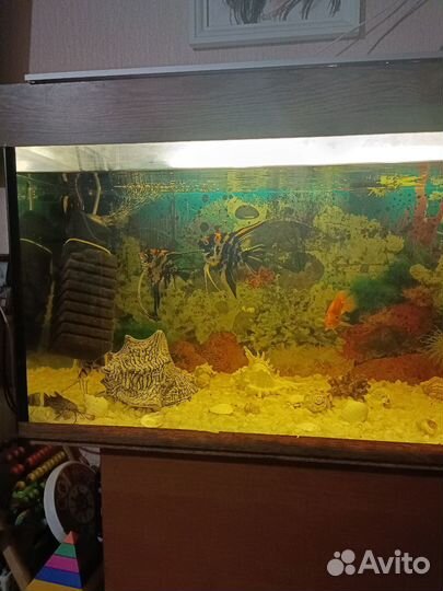 Аквариум