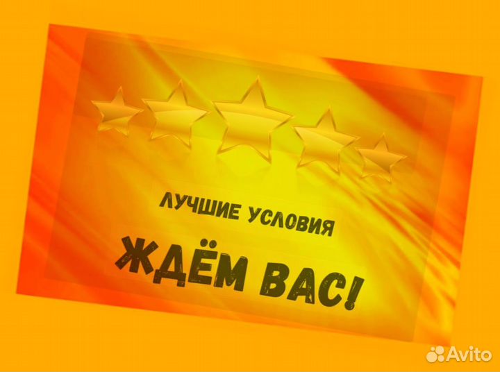 Комплектовщик Спецодежда Еженедельный аванс М/Ж