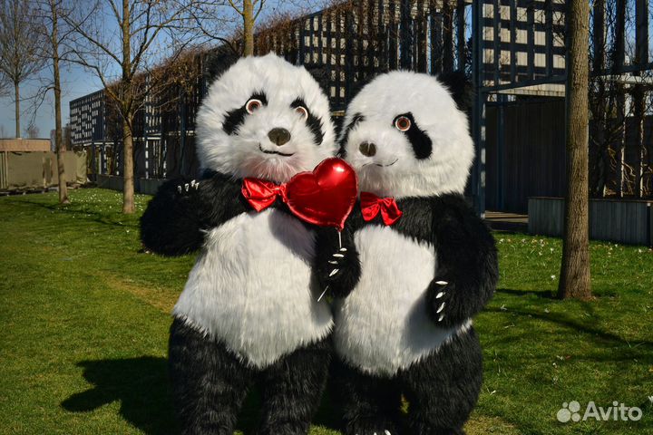 Белый мишка медведь поздрав Панда, Котик,Тедди