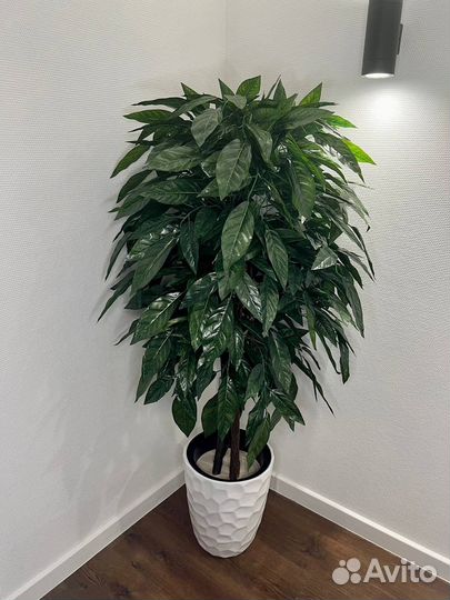 Искусственные деревья для дома и офиса в наличии