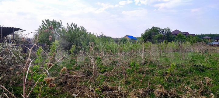 Участок 18 сот. (СНТ, ДНП)