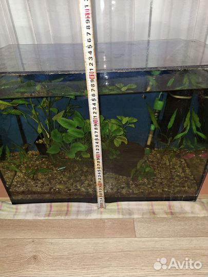 Аквариумы