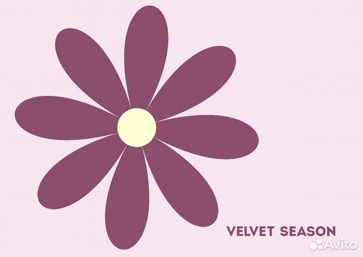 Заместитель управляющего ТК Соломбала Молл