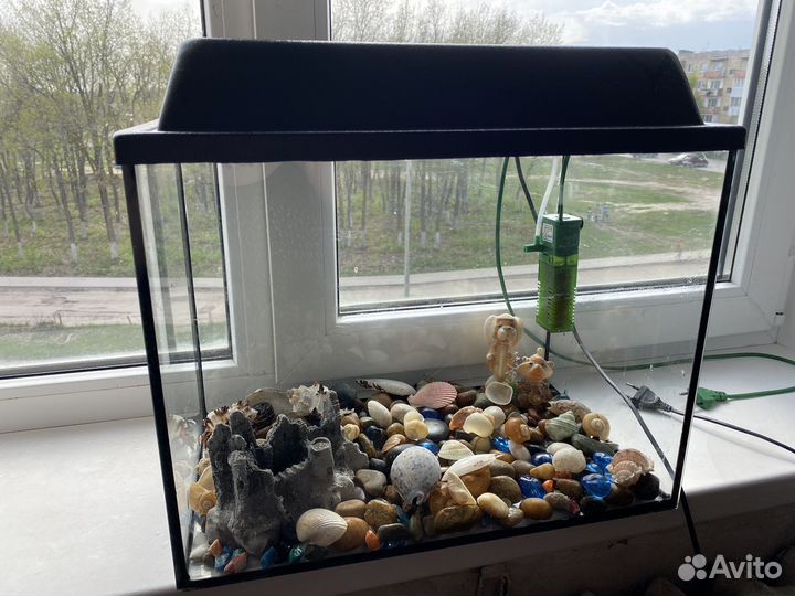 Аквариум
