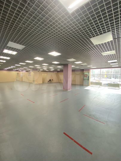 Торговая площадь, 261.1 м²