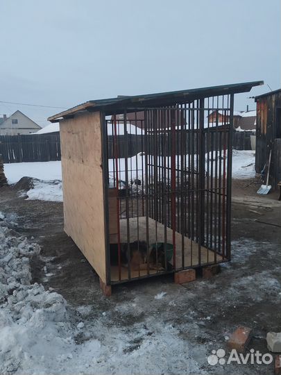 Вольер для собак бу уличный