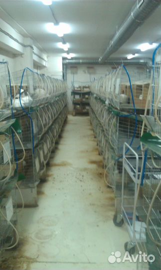 Клетки для кроликов и прочих. Цена за 9 секций