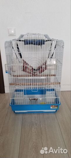 Клетка для крыс бу