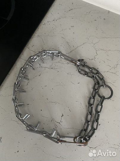 Строгий ошейник для собак