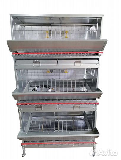 Клеточная батарея для Кур-Несушек