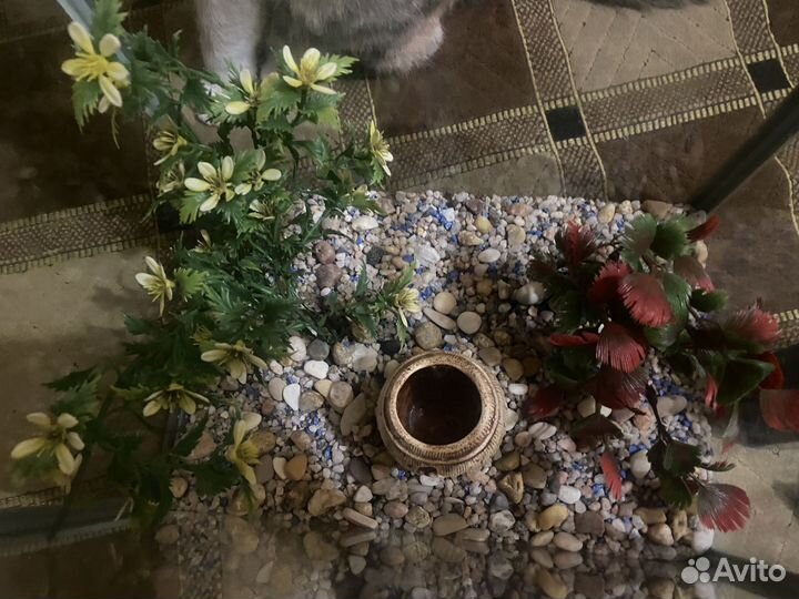 Аквариум с аксессуарами