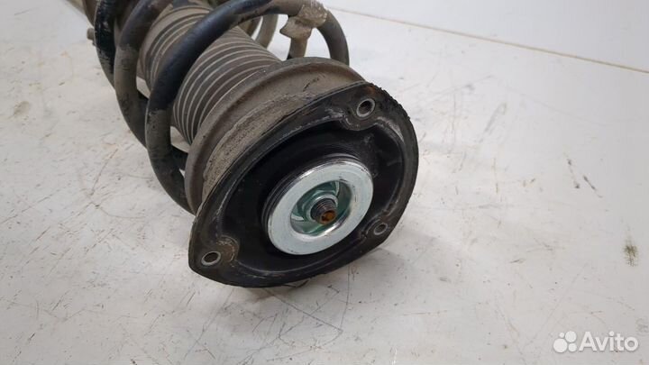 Амортизатор подвески Volkswagen Tiguan, 2017