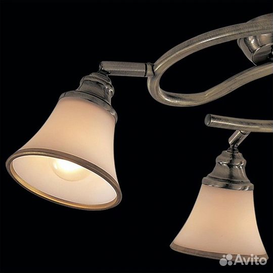 Спот Citilux Прованс CL511143