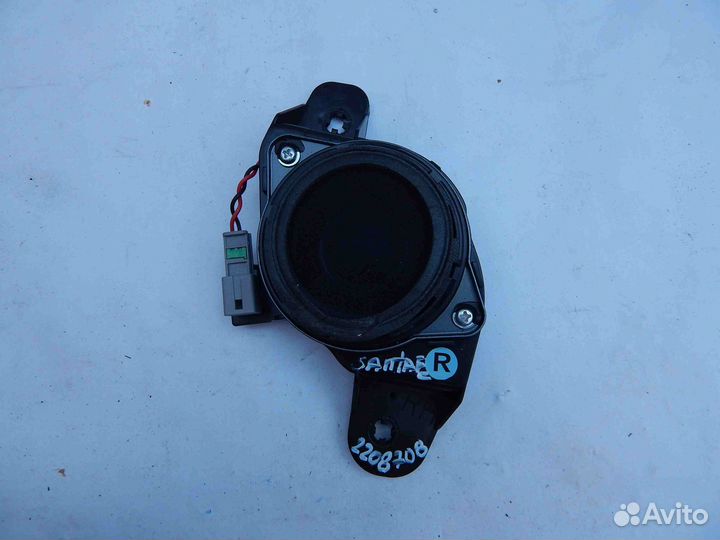 Динамик Hyundai Santa Fe 4 поколение рестайлинг (2