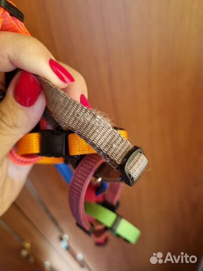 Ошейники для щенков