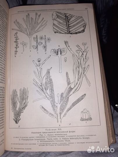 Н.М.Страхов. Историческая геология. 1938 г