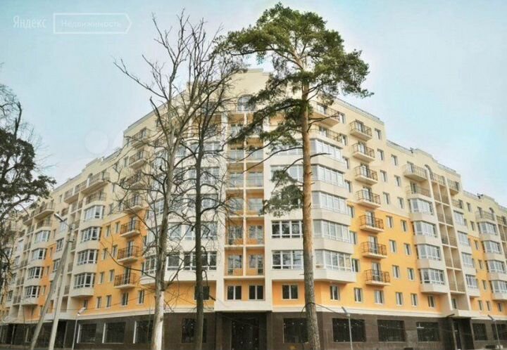 Свободного назначения, 13.1 м²