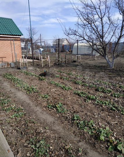 Участок 6,08 га (СНТ, ДНП)