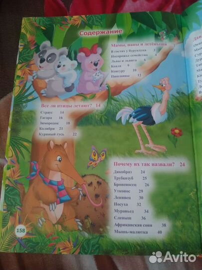 Необыкновенная книга