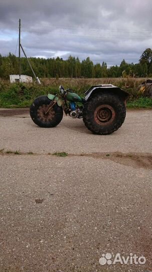 Продаётся каракат