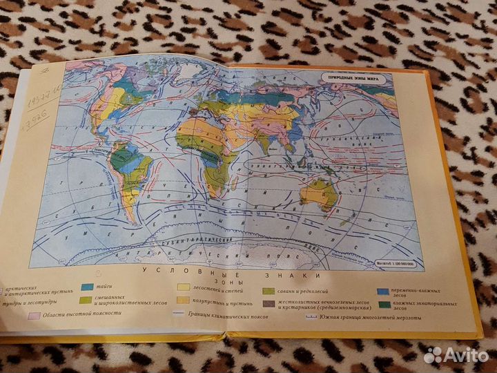 Книга по окружающему миру 3 класс