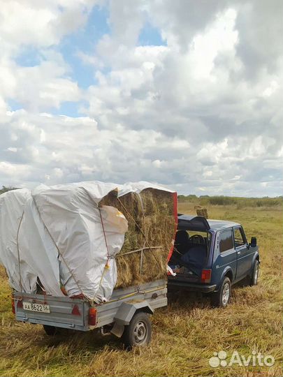 Сено луговое Тюки от 5ти штук