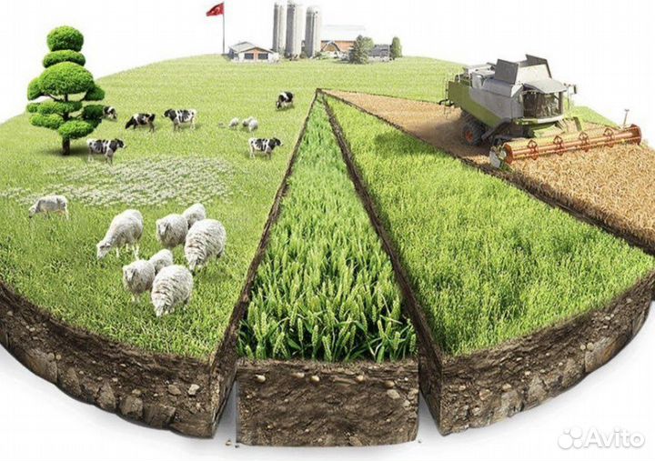 Разрешение на строительство любой сложности